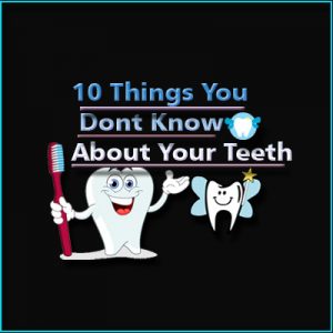 About Your Teeth